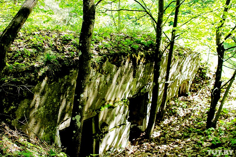 фото А.Мацура