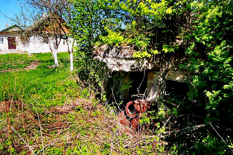 фото А.Мацура