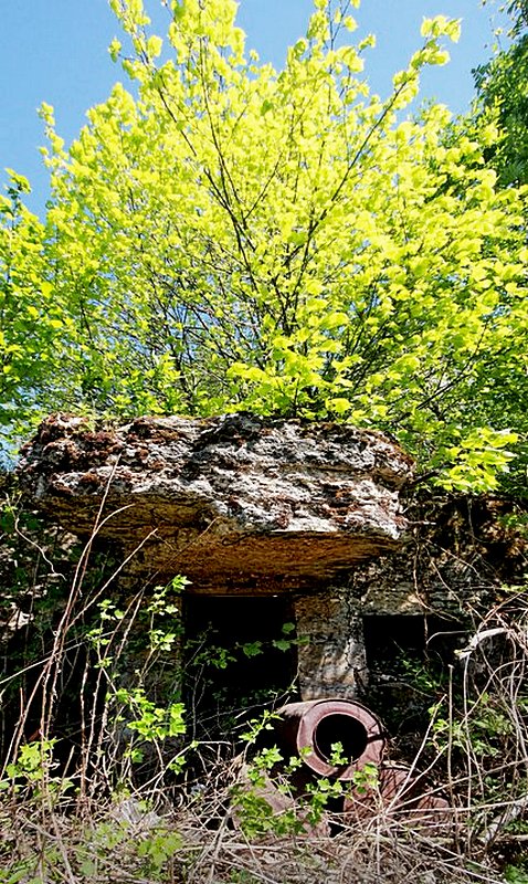 фото А.Мацура