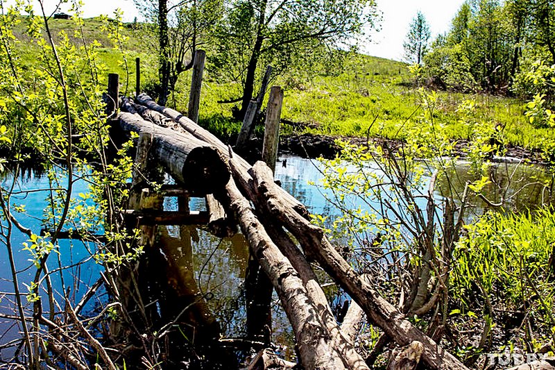 фото А.Мацура