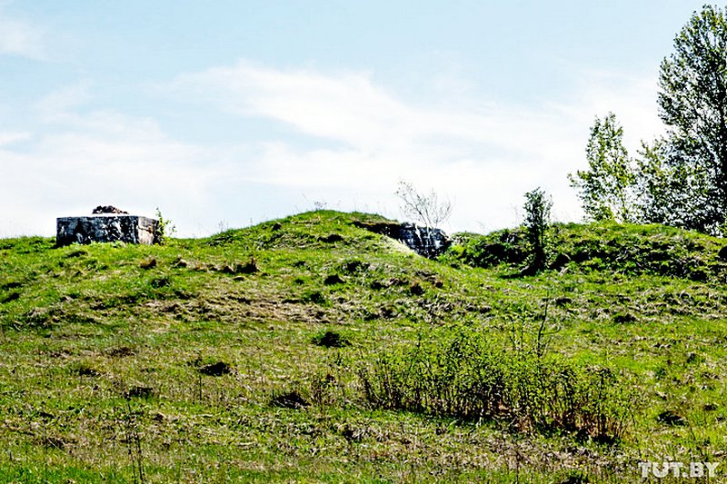 фото А.Мацура