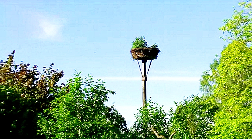 д. Христово, Волковский с/с, Поставский р-н.